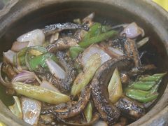-汤氏美食台山水步特色黄鳝饭(龙津东路店)