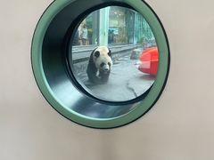 -秦皇岛野生动物园