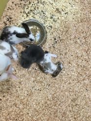 -酷嗒动物文化乐园(cutezoo西溪乐天城店)