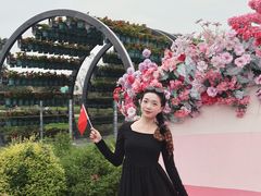 -荷兰花海