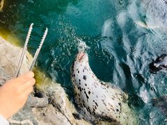 -华夏文旅海洋公园