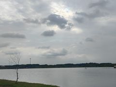 -梁子湖东篱老屋生态庄园