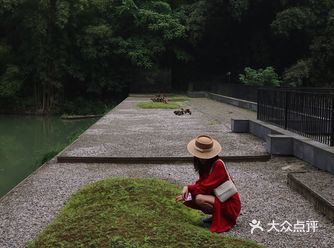 远离尘嚣•烟波里中餐厅