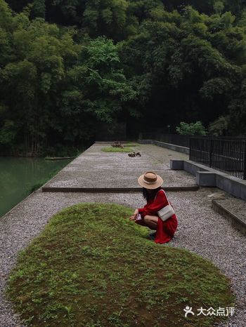 远离尘嚣•烟波里中餐厅