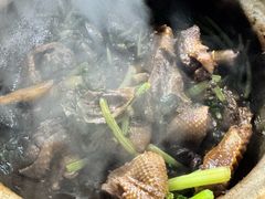 -霞姐屯昌枫木香草鸭店(海螺店)