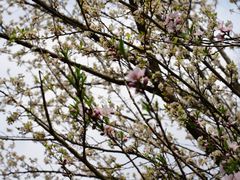 -贵阳市花溪国家城市湿地公园