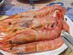 阿根廷红虾-初色海鲜自助(万丰路店)
