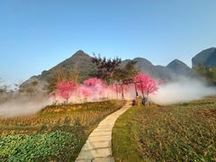 -靖西鹅泉风景区