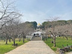 -苏州上方山国家森林公园