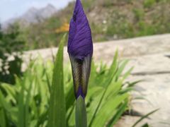 -平西抗日烈士陵园