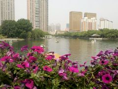 景点-沈阳南湖公园