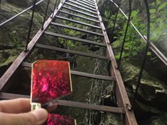 -玉泉威虎山森林公园
