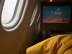 -海南海航航空信息系统公司