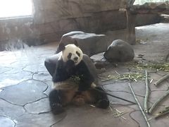 -宁波野生动物园
