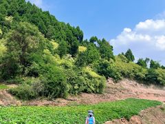 -金堂县云顶石城风景区