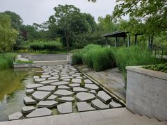 -大望京公园