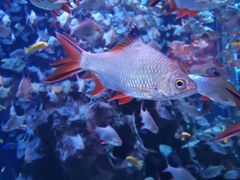 -成都浩海立方海洋公园