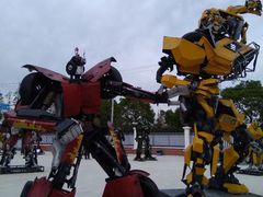 -上海长兴岛郊野公园