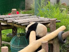 -沈阳森林动物园