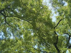 -国家植物园南园