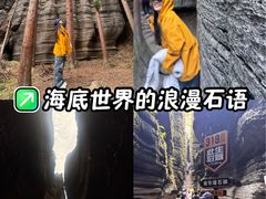 -梭布垭石林景区