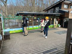 -宫城藏王狐狸村