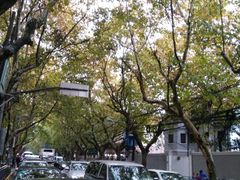 -上海交通大学医学院附属瑞金医院(总院)
