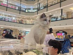 -梅龙镇广场