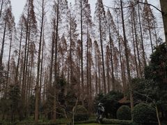 -上海怡沁园度假酒店