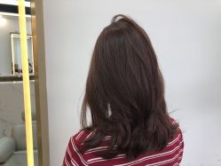 -艾美丽