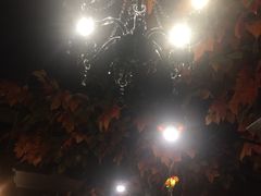 -BISTROFIORE美伊娜(伊犁南路店)