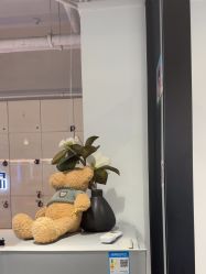 -LJOY丽锦造型·烫发染发