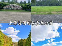 -上海海湾国家森林公园