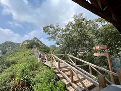 -大岭沟猕猴桃谷风景区