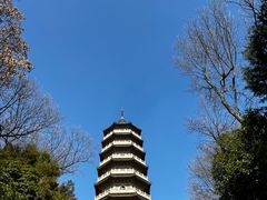 -灵谷景区