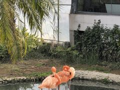 -无锡动物园·太湖欢乐园