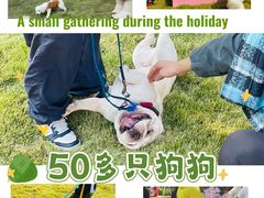 -上海神旺大酒店