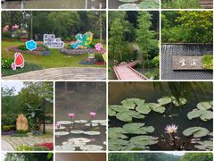 -云溪植物园