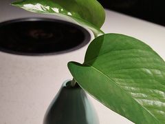 -金筷子西北菜·捞悦火锅