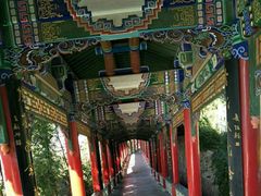 -兰山公园