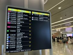 -上海浦东国际机场-T2航站楼
