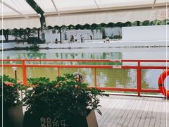 -向外鱼乐·土菜·虹鳟鱼