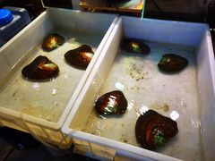 -十八字金·银饰·拼豆·开蚌DIY(魏公芳华里店)