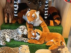 -北京野生动物园