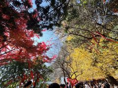 -大慈岩风景区