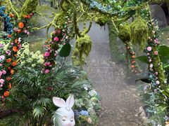 -沂蒙山旅游区云蒙景区(蒙山国家森林公园)