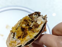 -呼吸森林·生态农庄农家乐私房菜