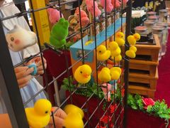 -管氏翅吧(广渠门店)