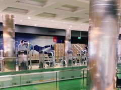 -威尔仕健身(金茂店)