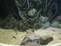 -临沂极地海洋王国